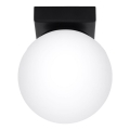 Lámpara de techo YOLI 1xG9/12W/230V negra