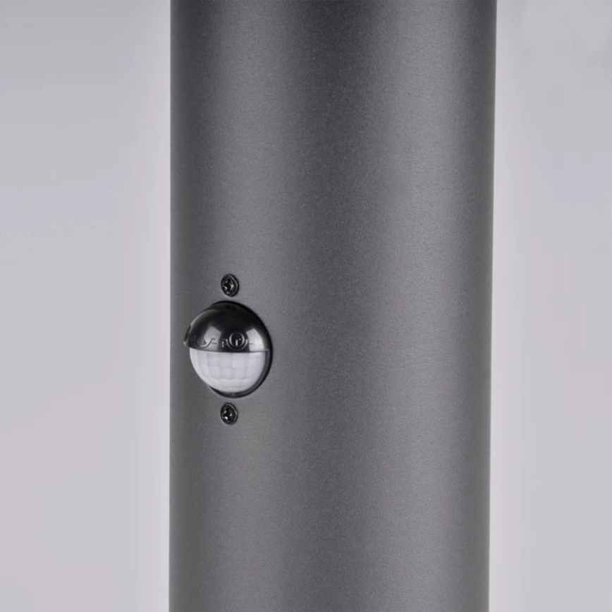 Lámpara exterior con sensor DALLAS 1xE27/12W/230V IP44 antracita
