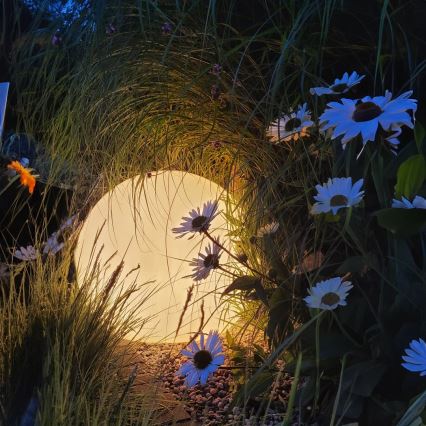 Lámpara exterior LED RGBW regulable GLOBO 1xE27/9W/230V 2700-6500K diámetro 60 cm IP44 Wi-Fi