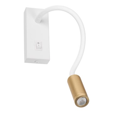 Lámpara flexible LED TONIL LED/3,3W/230V blanco/dorado