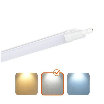 Lámpara fluorescente de alta resistencia LED/48W/230V IP65 4000K 156 cm