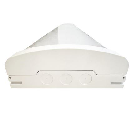 Lámpara fluorescente LED regulable LED/35W/44W/52W/60W/230V 4000K 120 cm
