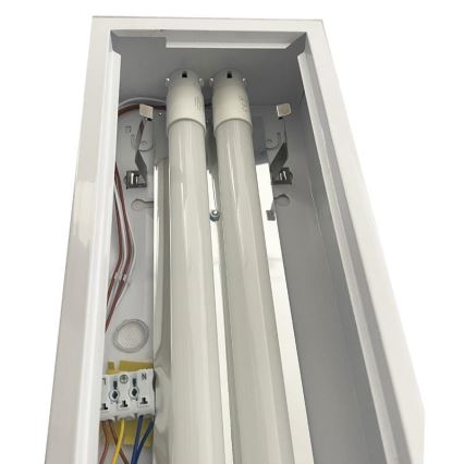 Lámpara fluorescente T8 2xG13/18W/230V 120 cm blanco