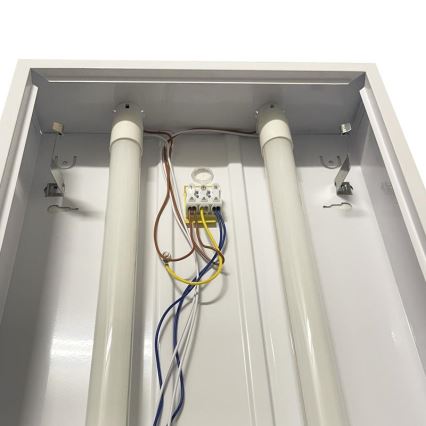 Lámpara fluorescente T8 2xG13/18W/230V 120 cm