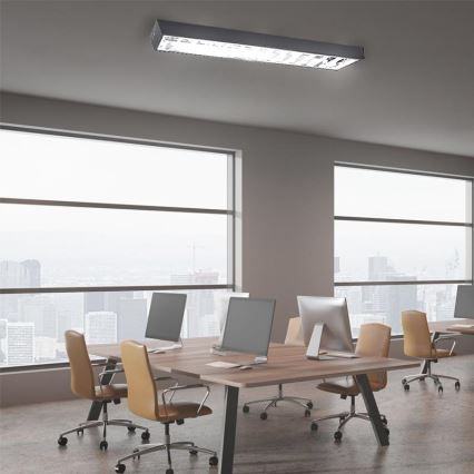 Lámpara fluorescente T8 2xG13/18W/230V 120 cm negro