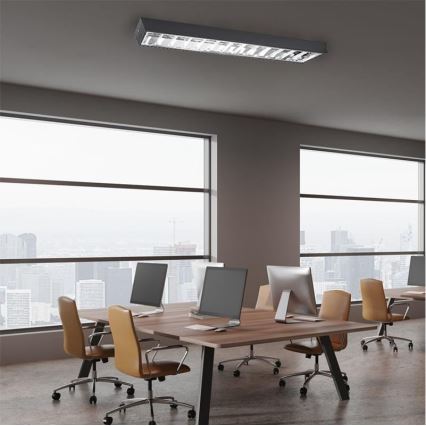 Lámpara fluorescente T8 2xG13/18W/230V 120 cm negro