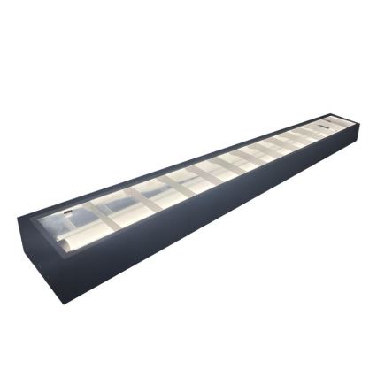 Lámpara fluorescente T8 2xG13/18W/230V 120 cm negro