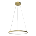 Lámpara LED colgante con cable ROTONDA LED/27W/230V dorado
