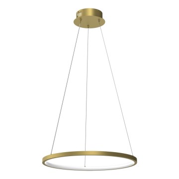 Lámpara LED colgante con cable ROTONDA LED/27W/230V dorado