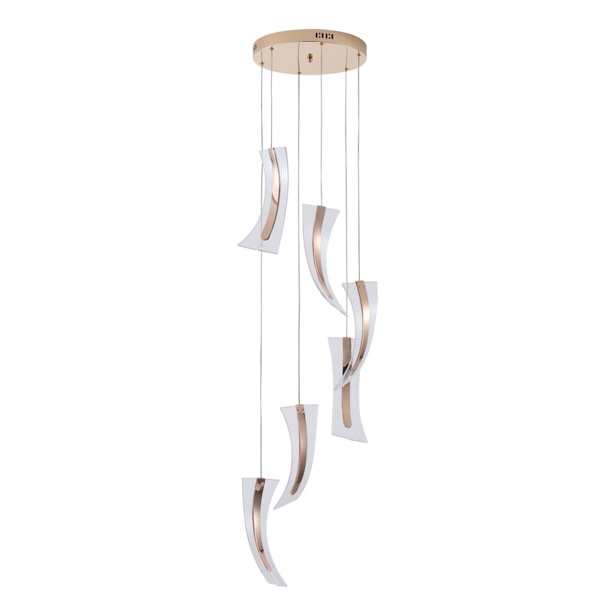 Lámpara LED colgante FIRENZE 6xLED/10W/230V 3000K
