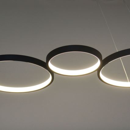 Lámpara LED colgante FLAMENCO LED/42W/230V 4000K negro