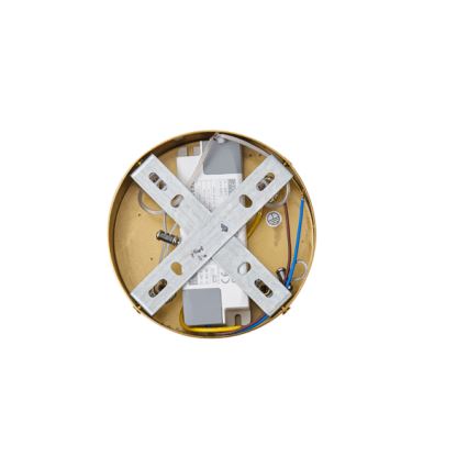 Lámpara LED colgante LED/19W/230V 3000K