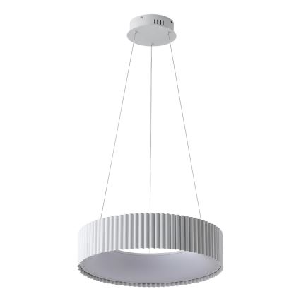 Lámpara LED colgante LED/30W/230V 3000K blanco