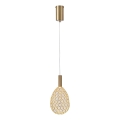 Lámpara LED colgante LED/6,3W/230V 3000K dorado diá. 14 cm