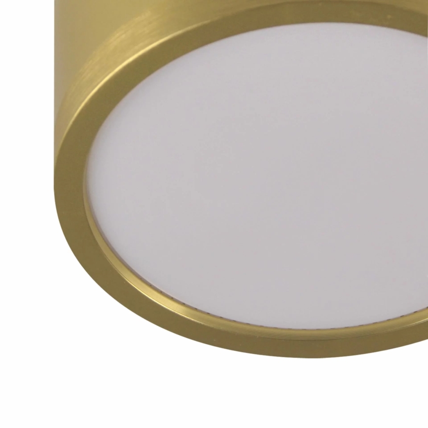 Lámpara LED colgante MIRELLA 4xGX53/6W/230V dorado/negro