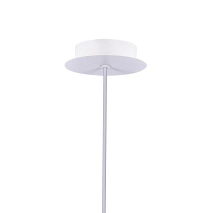 Lámpara LED colgante MODENA LED/5W/230V