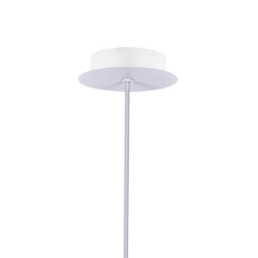 Lámpara LED colgante MODENA LED/5W/230V