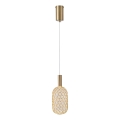 Lámpara LED colgante PERFORATO LED/6,3W/230V 3000K dorado diá. 13 cm