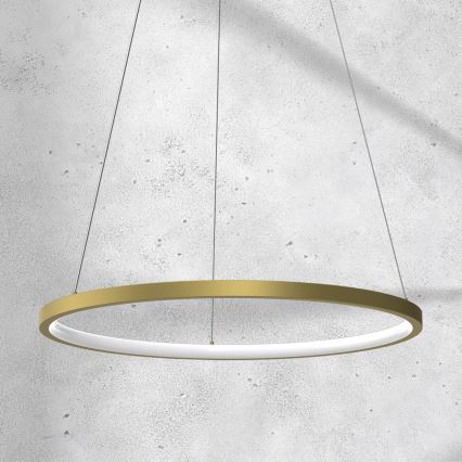 Lámpara LED colgante con cable ROTONDA LED/27W/230V dorado