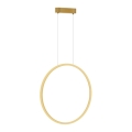 Lámpara LED colgante SATURNO LED/28W/230V Ø 50 cm IP44 dorado