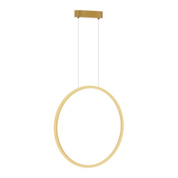 Lámpara LED colgante SATURNO LED/28W/230V Ø 50 cm IP44 dorado