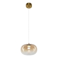 Lámpara LED colgante VASO LED/4W/230V diá. 18 cm dorado/ahumado