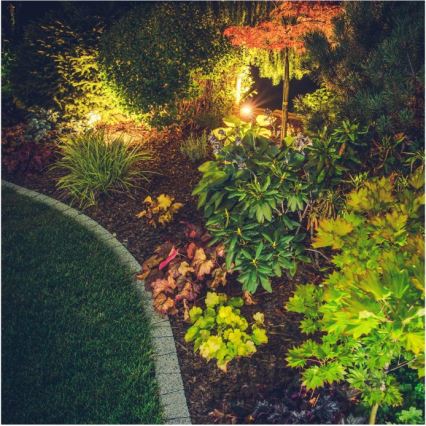 Lámpara LED de exterior BLAKE LED/5W/230V 3000K IP65 negra