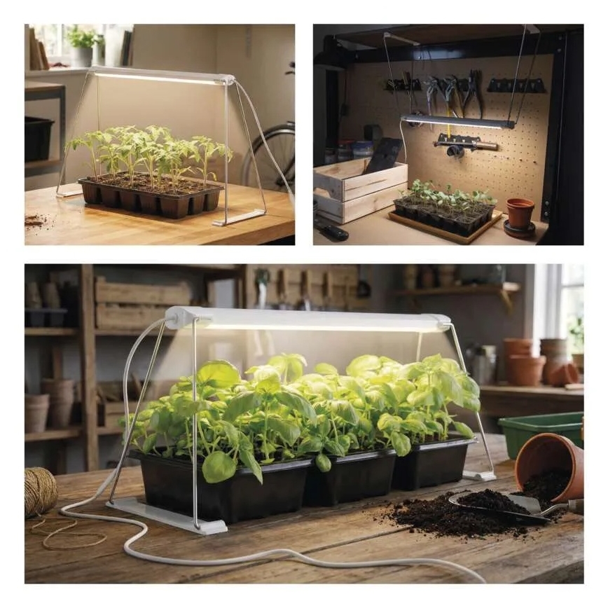 Lámpara LED de interior para cultivo de plantas GROW LED/15W/230V