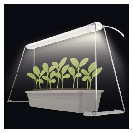Lámpara LED de interior para cultivo de plantas GROW LED/15W/230V