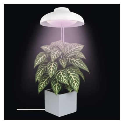 Lámpara LED de interior para el cultivo de plantas GROW LED/5W/5V