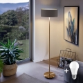 Lámpara LED de pie TUNJA 1xE27/20W/230V Ø 38 cm dorada/marrón