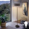 Lámpara LED de pie TUNJA 1xE27/20W/230V Ø 38 cm negro/marrón