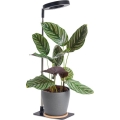 Lámpara LED de sobremesa regulable para cultivo de plantas VERDI LED/5W/5V 1300K CRI 95 negra