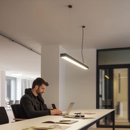 Lámpara LED de techo de montaje en superficie y colgante CYNIDECO LED/12W/230V 4000K negra