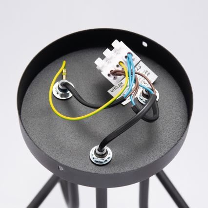Lámpara LED de techo de superficie OXFORD 3xE27/15W/230V negra