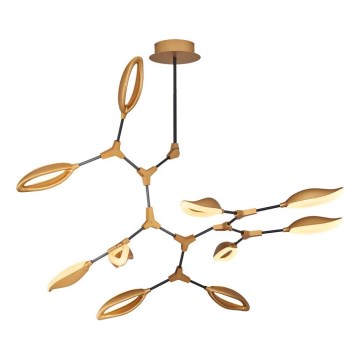 Lámpara LED de techo en barra ASTI 10xLED/7W/230V 3000K dorada