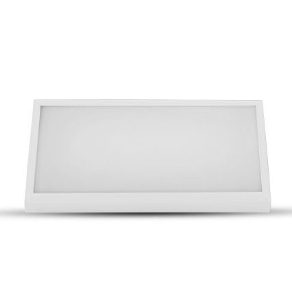 Lámpara de pared LED para exterior LED/12W/230V 4000K IP65 blanca