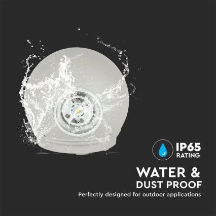 Lámpara de pared LED para exterior LED/6W/230V 3000K IP65 gris