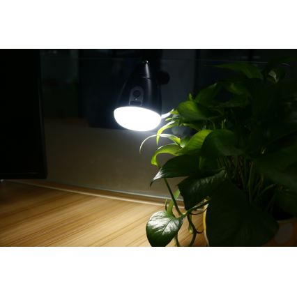 Lámpara LED KLIP con carga USB LED/5W/5V 4000K