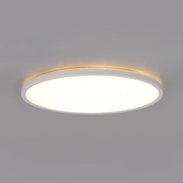 Lámpara LED para baño con sensor de movimiento y sensor crepuscular NIVERA LED/12W/230V IP54 3000/4000/6000K diámetro 22,5 cm blanca + mando a distancia