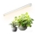 Lámpara LED para cultivo de plantas GROWLY LED/9W/230V blanca