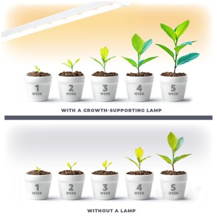 Lámpara LED para debajo de mueble de cocina para cultivar plantas GROWLY LED/9W/230V blanco