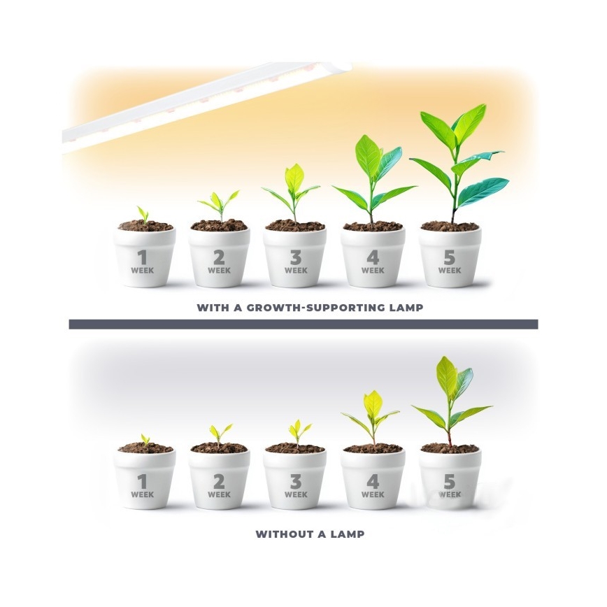 Lámpara LED para debajo de mueble de cocina para cultivar plantas GROWLY LED/9W/230V blanco