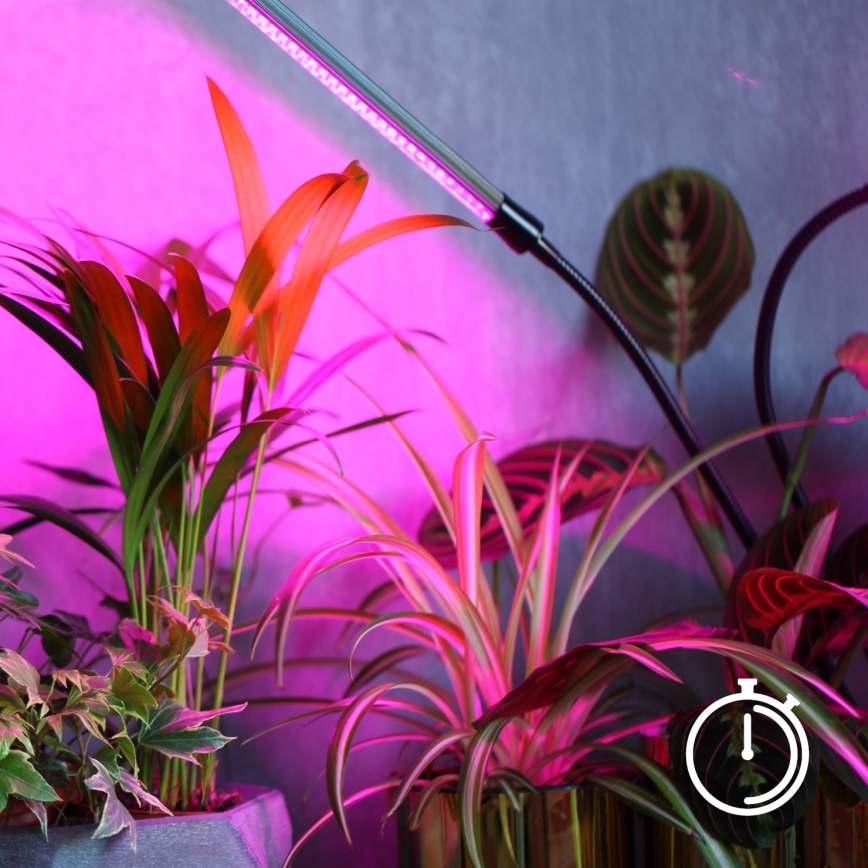Lámpara de mesa flexible LED regulable con clip para el cultivo de plantas VITARO 4xLED/10W/230V negro
