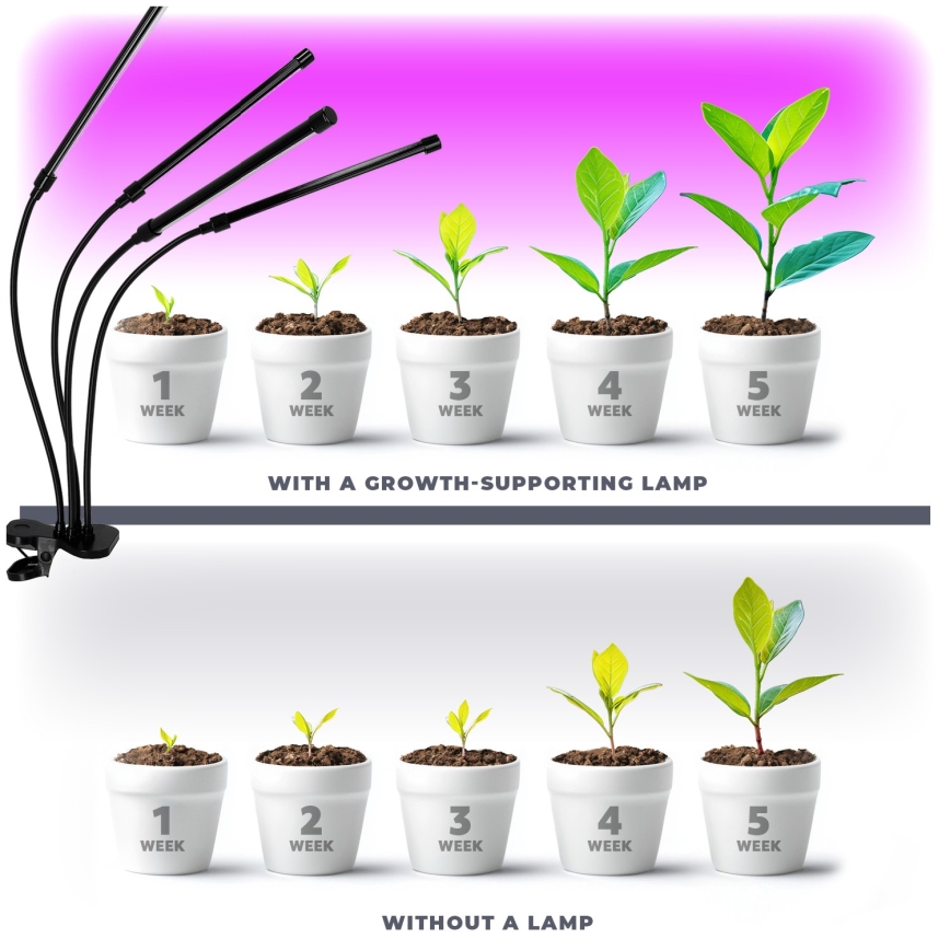 Lámpara de mesa flexible LED regulable con clip para el cultivo de plantas VITARO 4xLED/10W/230V negro