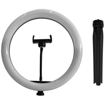Lámpara LED regulable con trípode y soporte para vlogging LED/10W/5V 3200-5500K