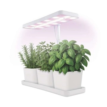 Lámpara LED regulable de interior para cultivo de plantas GROW LED/7W/5V