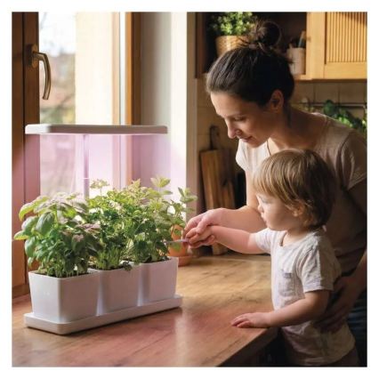 Lámpara LED regulable de interior para cultivo de plantas GROW LED/7W/5V