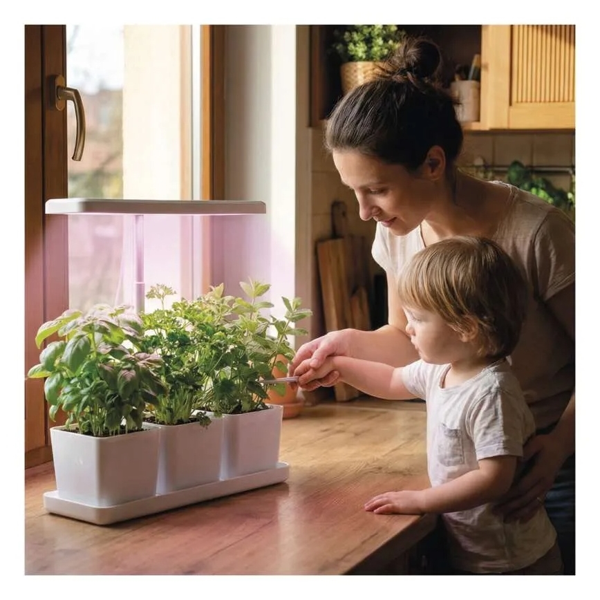 Lámpara LED regulable de interior para cultivo de plantas GROW LED/7W/5V