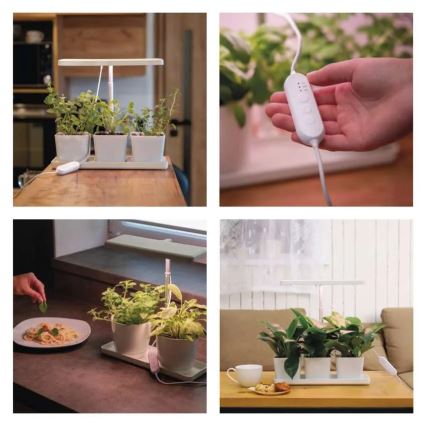 Lámpara LED regulable de interior para cultivo de plantas GROW LED/7W/5V